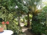 Click to enlarge Studios in sub-tropical garden of village house in El Sauzal,Canaries